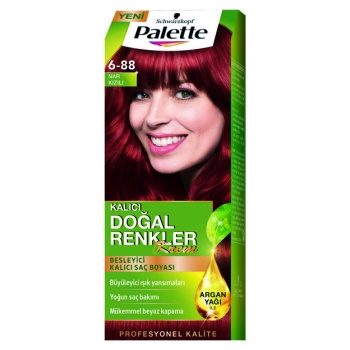 Palette Natural Saç Boyası  6-68 Bronz Kako