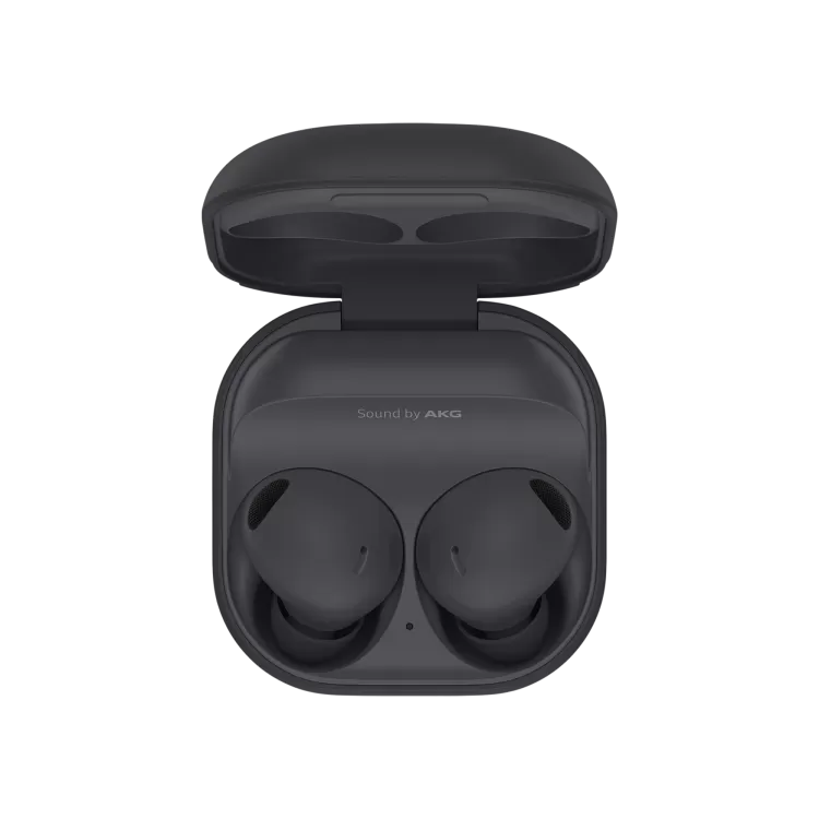 SAMSUNG Samsung Galaxy Buds2 Pro Grafit Kulaklık