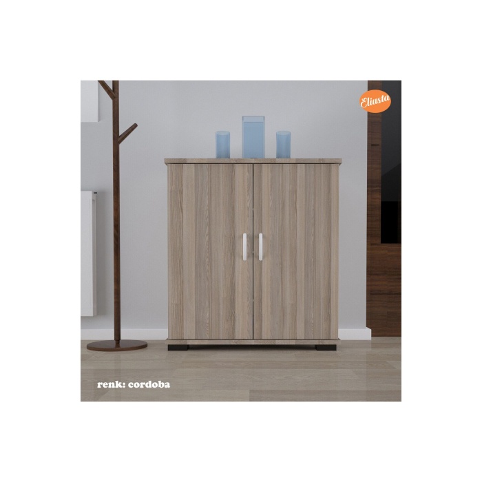 Ayakkabılık 2 Kapaklı Ayakkabı Dolabı Çok Amaçlı Dolap Mutfak Dolabı Ofis Dolabı