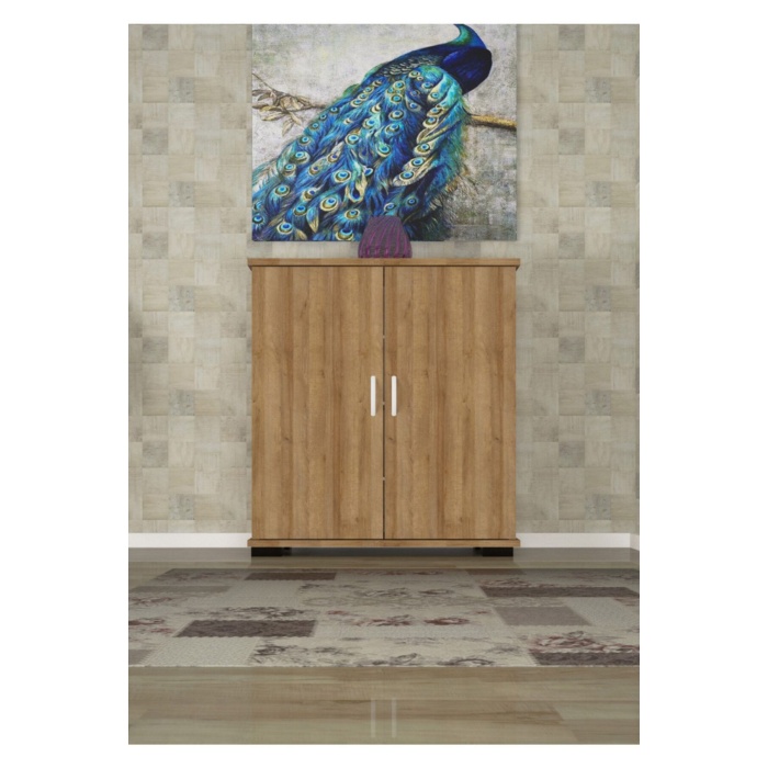 Ayakkabılık 2 Kapaklı Ayakkabı Dolabı Çok Amaçlı Dolap Mutfak Dolabı Ofis Dolabı