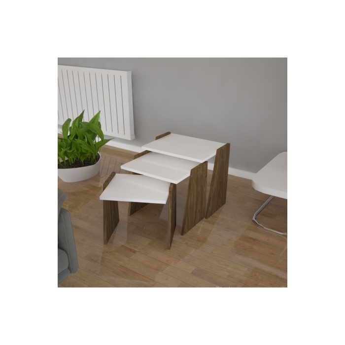 3 Lu Zigon Sehpa Takımı Sunum Sehpa