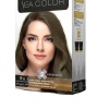 Sea Color Set Boya 8.11 Yoğ.A.Küllü Kumral