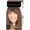 Sea Color Set  Boya 6.0 Koyu Kumral