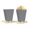 Popcorn Kutusu 8li -Düz Gümüş-