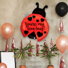 27 Grabo Folyo Balon -Go Love Bug Ladybug Holog-