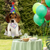 14 Grabo Folyo Balon -Birthday Puppy mini-