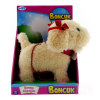 Dansçı Köpeğim Boncuk