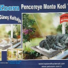 PetZoom Pencere Yatağı