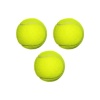 Petzoom Köpek Oyun Topu Tenis Topu ***