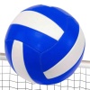 Voleybol Topu Profesyonel Boy Asorti