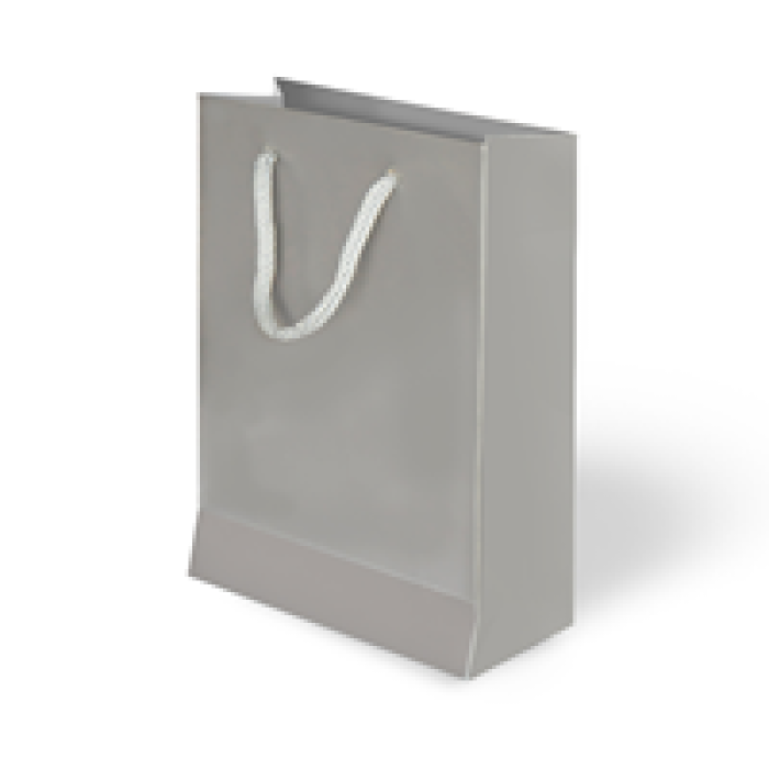 20x25x8 Karton Çanta 24lü -Gümüş-
