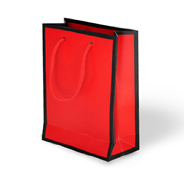 20x25x8 Karton Çanta 24lü -Kırmızı-