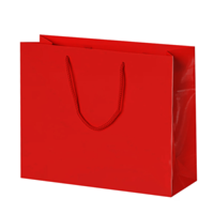 42x38x12 Karton Çanta 10lu -Kırmızı-
