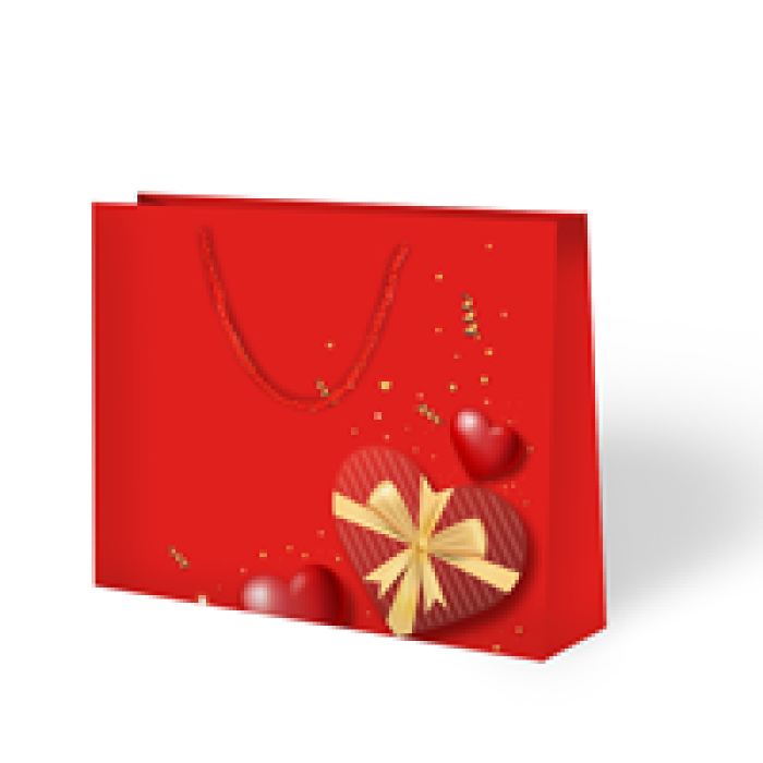 42x38x12 Valentine Karton Çanta 10lu -Kalp-
