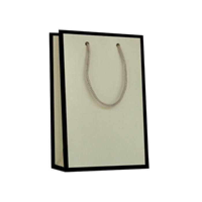 26x40x8 Karton Çanta 10lu -Mat Vanilya-