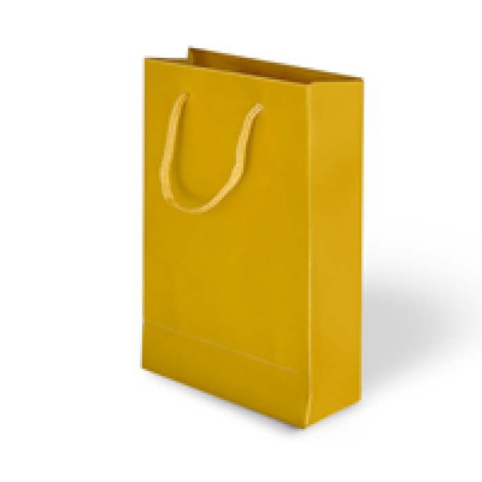 14x17x6 Karton Çanta 24lü -Mat Altın-