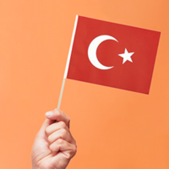 Battal Çıtalı Bayrak 40lı -Ay Yıldız-
