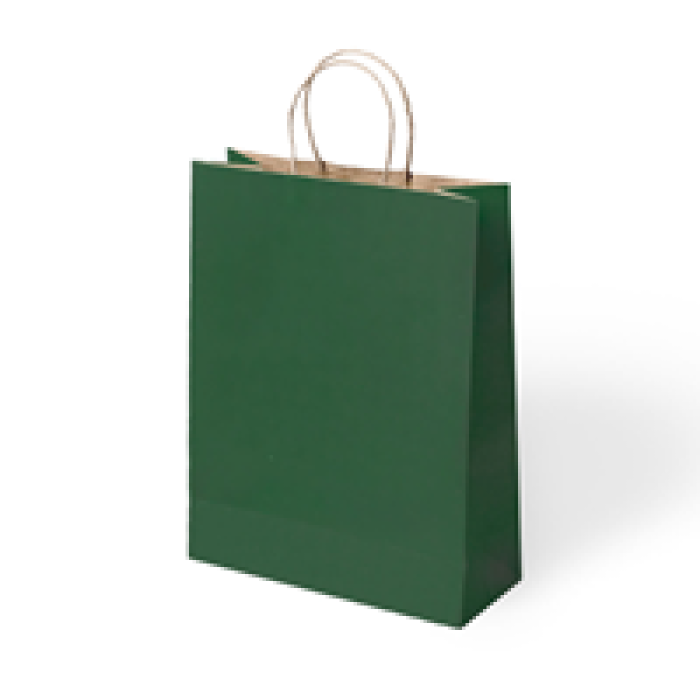25x12x31 Büküm Saplı Poşet -Yeşil-