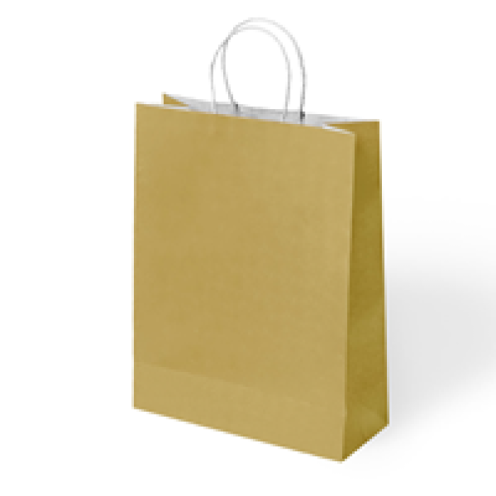 15x8x20 Büküm Saplı Poşet -Altın-