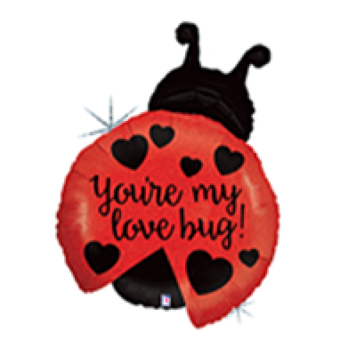 27 Grabo Folyo Balon -Go Love Bug Ladybug Holog-