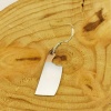 Sallantılı Gümüş Satır Tek Küpe | 0,8cm x 2,3cm (BG-KP-036)