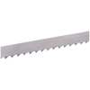 FECTUM ET KEMİK TESTERESİ 20x0,50 3 diş 1650mm