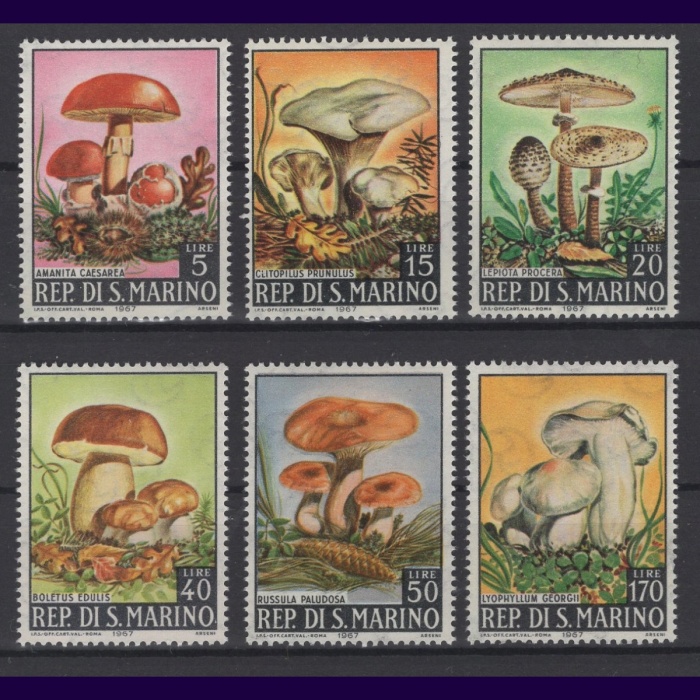 MANTARLAR-1967 SAN MARINO-DAMGASIZ MNH TAM SET