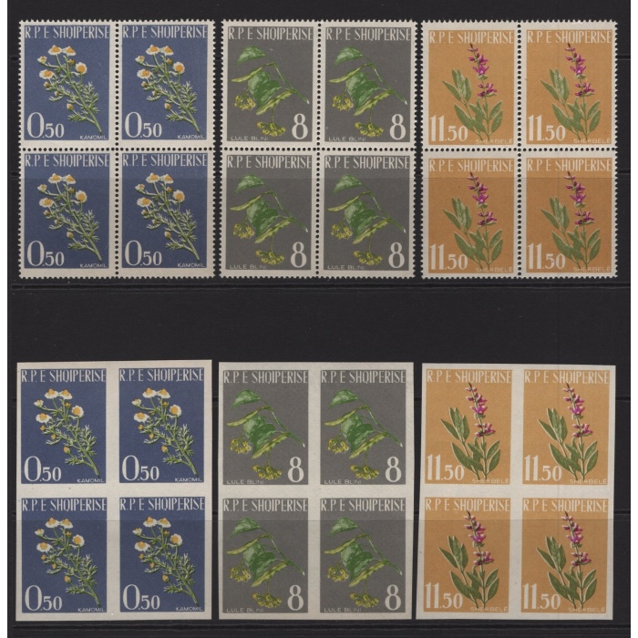 ÇİÇEKLER-1962 ARNAVUTLUK-DAMGASIZ MNH 4LÜ BLOK DANTELLİ + DANTELSİZ TAM SET-MICHEL KD: 144 EURO