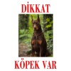 Dikkat Köpek Var Uyarı Levhası (Kızıl Doberman)