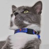 Superman Lacivert Desenli Güvenlik Kilitli Ayarlanabilir Yumuşak Doku Kedi Boyun Tasması 22-30 cm