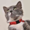 Garfield Kırmızı Grafitti Font Desenli Güvenlik Kilitli Ayarlanabilir Yumuşak Doku Kedi Boyun Tasması 22-30 cm