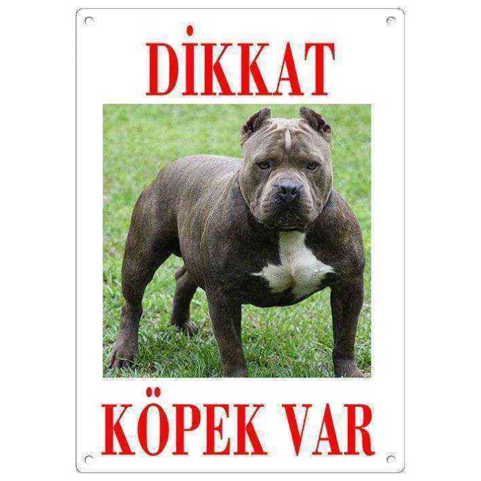 Dikkat Köpek Var Uyarı Levhası (Renkli Pitbull)