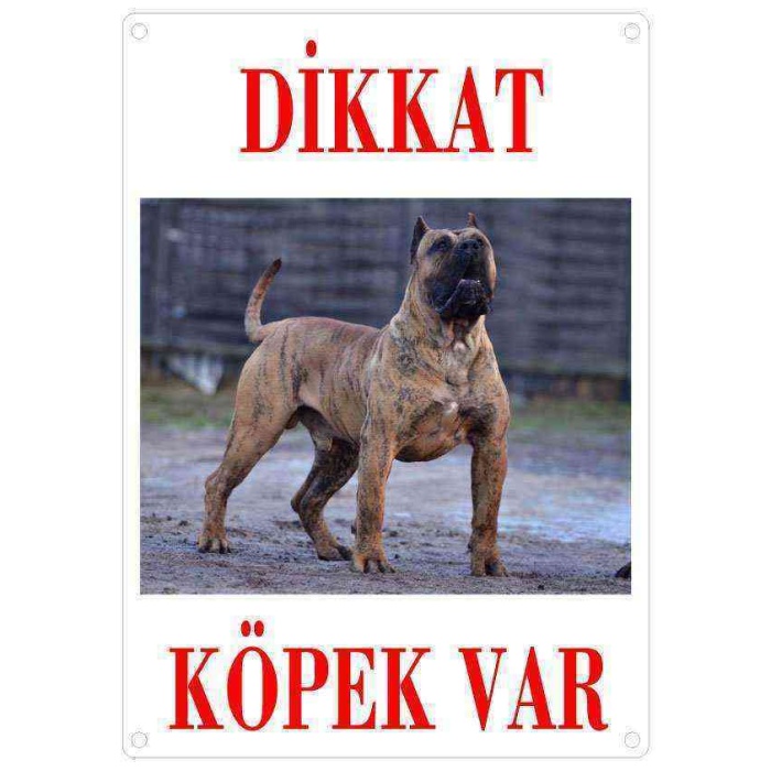 Dikkat Köpek Var Uyarı Levhası (Renkli Presa Canario)