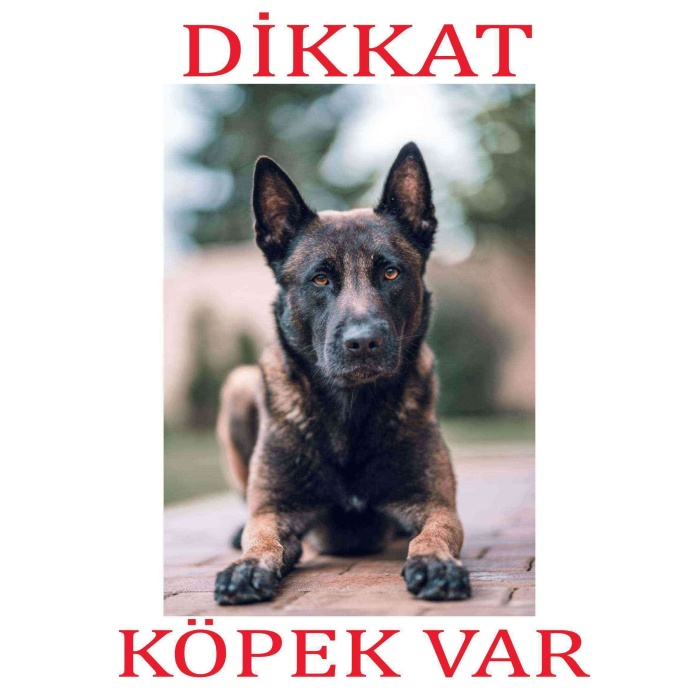 Dikkat Köpek Var Uyarı Levhası (Belçika Malinois)
