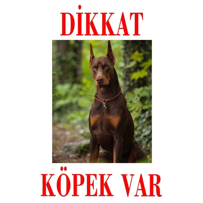 Dikkat Köpek Var Uyarı Levhası (Kızıl Doberman)
