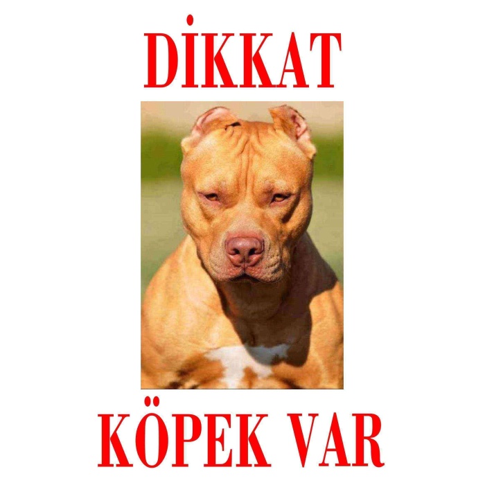 Dikkat Köpek Var Uyarı Levhası (Kahverengi Pitbull)