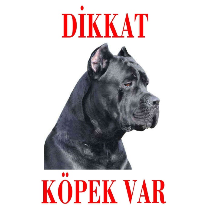 Dikkat Köpek Var Uyarı Levhası (Renkli Cane Corso-2)