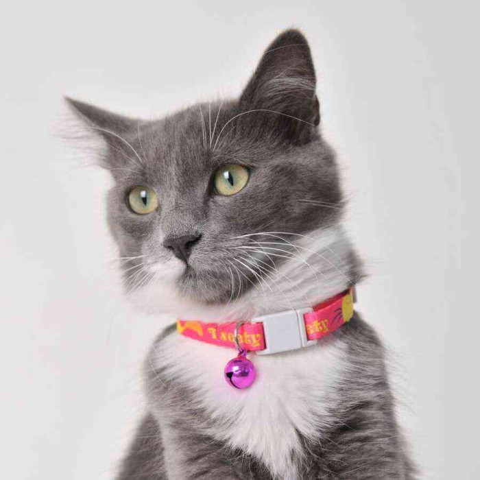 Tweety Pembe Sarı Desenli Güvenlik Kilitli Ayarlanabilir Yumuşak Doku Kedi Boyun Tasması 22-30 cm