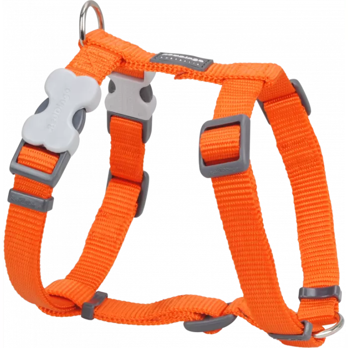 REDDİNGO KLASİK  GÖĞÜS TASMASI M /20MM