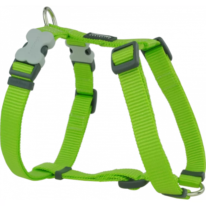 REDDİNGO KLASİK  GÖĞÜS TASMASI M /20MM