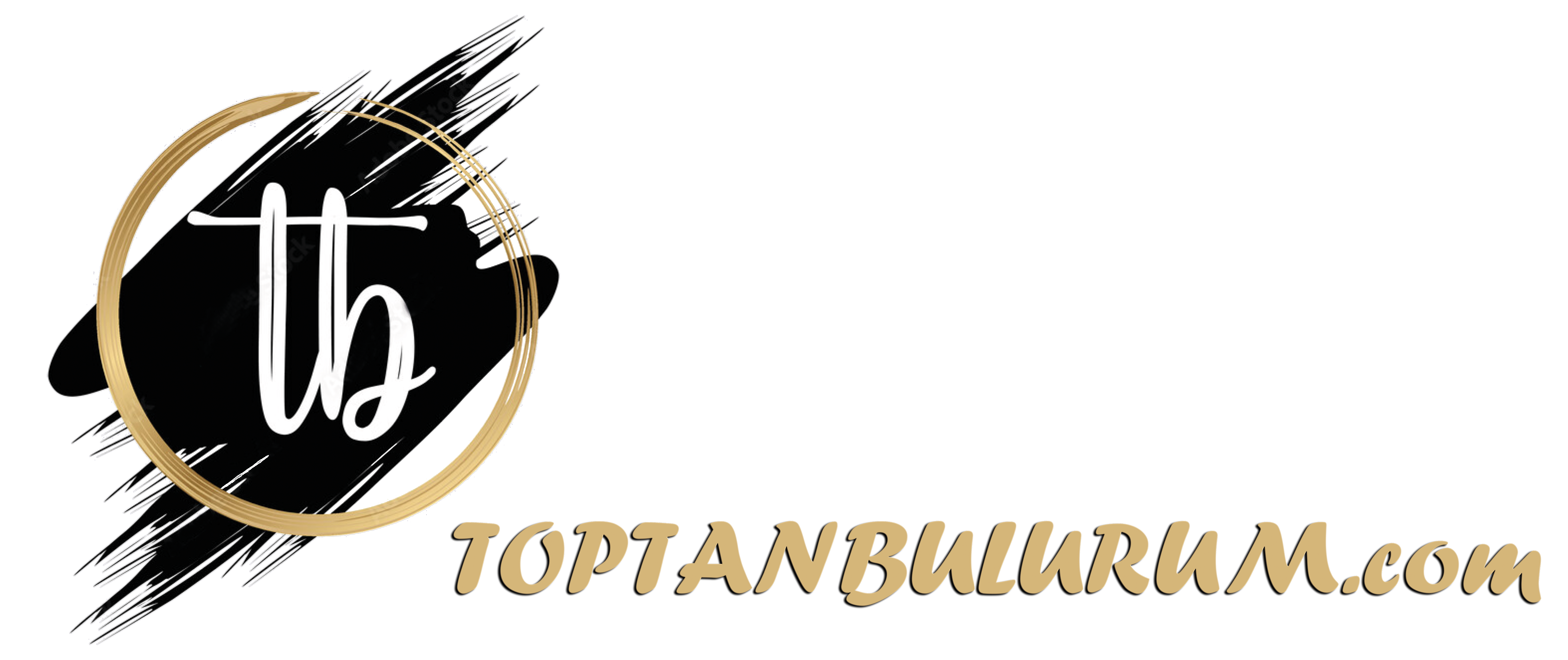toptanbulurum.com-logo