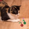2li Rattan Renkli Peluş Tüy Kedi Köpek Oyuncak Yakalama Çiğneme Çıngıraklı Top Oyuncağı