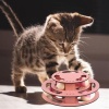 3 Katlı Komik Oyuncak Kediler İçin Sert Ahşap Aktivite Oyuncağı