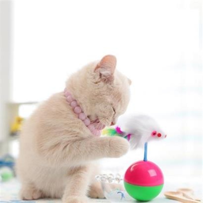 Kedi Oyun Topu Tüylü Fareli Hacı Yatmaz Eğitici Yavru Kedi Fare Kovalama Oyuncağı