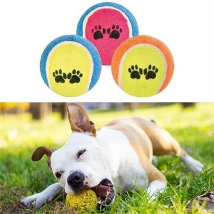  3lü Renkli Desenli Tenis Topu Kedi Köpek Oyuncağı