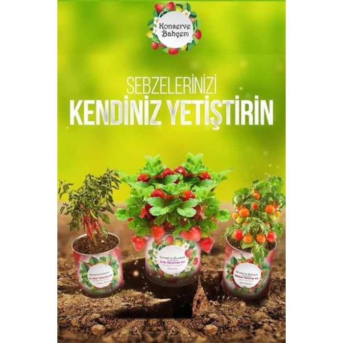 Konserve Bahçem Konservede Çengelköy Salatalık Yetiştirme Kiti