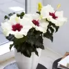 japon Gülü Beyaz Çiçekli