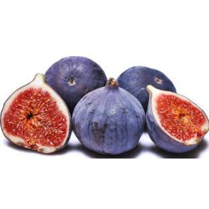 Tüplü Fidan Bursa Siyahı İncir Fidanı