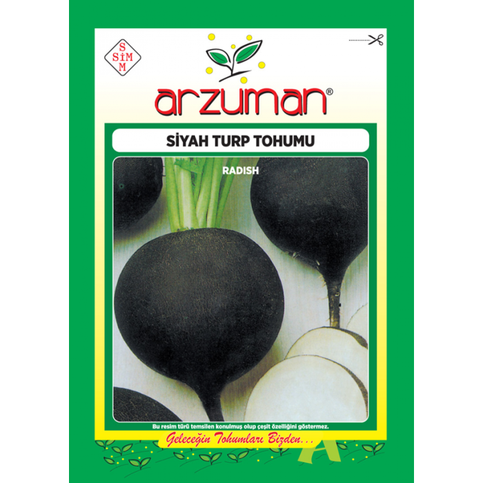 SİYAH TURP TOHUMU 25 GR