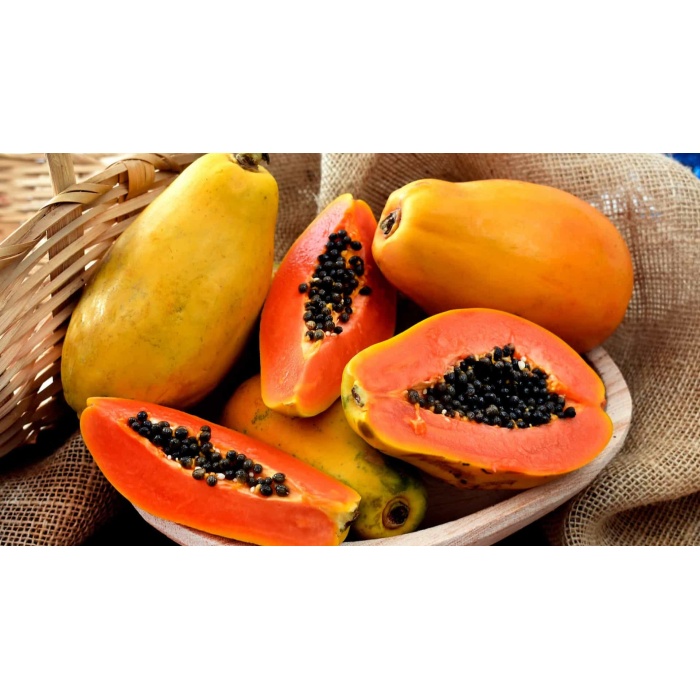 Meyve verme durumunda Papaya meyvesi fidan(boy 150cm ile 200cm)